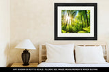 Framed Print, Scenic Forest Of Fresh Green Deciduous Trees Framed By Leaves With The Sun - Essentials from JayCar