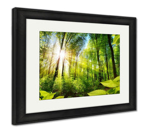 Framed Print, Scenic Forest Of Fresh Green Deciduous Trees Framed By Leaves With The Sun - Essentials from JayCar
