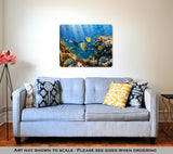Metal Panel Print, Coral And Fish In The Red Sea Egypt - Essentials from JayCar