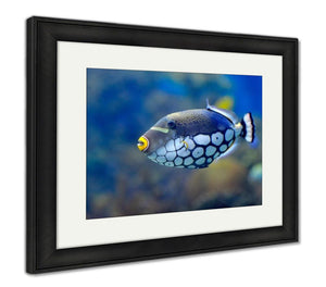 Framed Print, Underwater Image Of Tropical Fishes - Essentials from JayCar