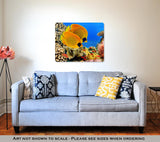 Metal Panel Print, Photo Of A Coral Colony - Essentials from JayCar
