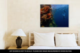 Gallery Wrapped Canvas, Freediver Descending Along The Vivid Reef Wall Red Sea Egypt - Essentials from JayCar