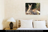 Metal Panel Print, Kangaroo Island Lazy Kangaroo - Essentials from JayCar