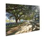 Metal Panel Print, Houston Discovery Green Park In Downtown Texas - Essentials from JayCar