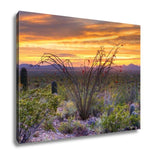 Gallery Wrapped Canvas, Sonoran Desert Catching Days Last Rays Near Tucson - Essentials from JayCar