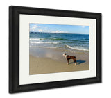 Framed Print, Border Collie At The Beach - Essentials from JayCar