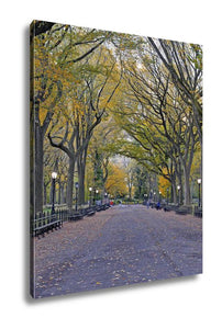 Gallery Wrapped Canvas, Autumn Colors In Central Park Manhattan New York - Essentials from JayCar
