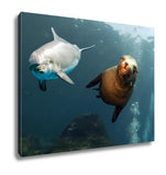 Gallery Wrapped Canvas, Dolphin And Sea Lion Underwater Close Up - Essentials from JayCar