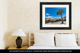 Framed Print, Olmsted Point Yosemite - Essentials from JayCar