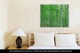 Gallery Wrapped Canvas, Green Forest Nature Landscape - Essentials from JayCar