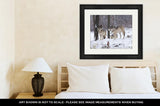 Framed Print, Lone Timber Wolf In A Snow Storm - Essentials from JayCar
