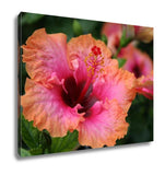 Gallery Wrapped Canvas, Cancun Bright Tropical Hibiscus - Essentials from JayCar