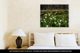 Gallery Wrapped Canvas, Moss Covered Log And Wild White Trillium Fallen Log Surrounded By Wild White - Essentials from JayCar