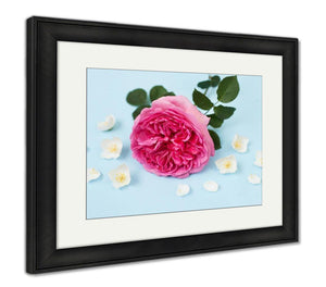 Framed Print, Princess Alexandra Of Kent Rose Jasmine Flowers And Petals On Blue Backgroung - Essentials from JayCar