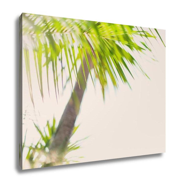 Gallery Wrapped Canvas, Tropical Palm Trees Branches Sun Light - Essentials from JayCar