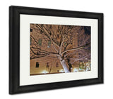 Framed Print, Survivor Tree Oklahoma City National Memorial - Essentials from JayCar