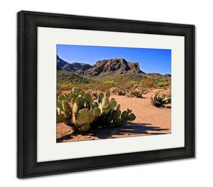 Framed Print, Arizona Desert - Essentials from JayCar