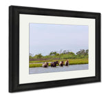 Framed Print, Four Wild Ponies Of Assateague Island Maryland USA Crossing The Water Of The - Essentials from JayCar